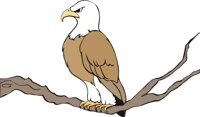 EAGLE.CMX