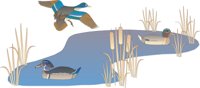 DUCKPOND.CMX