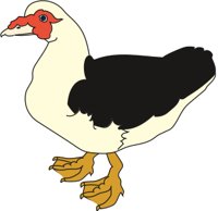 DUCKC2.CMX