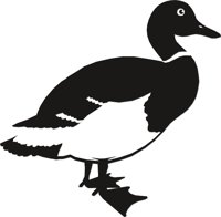DUCK3.CMX