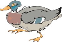 DUCK.CMX