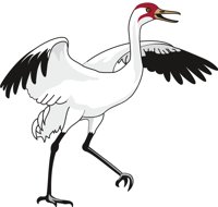 CRANEC.CMX