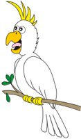 COCKATOC.CMX