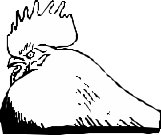 CHICK012.CMX