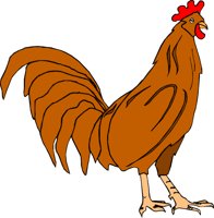 CHICK004.CMX