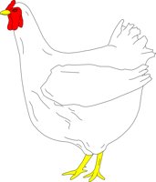 CHICK002.CMX