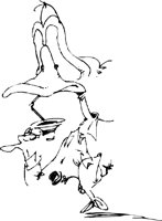 CBIRD022.CMX