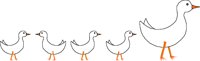 CBIRD017.CMX