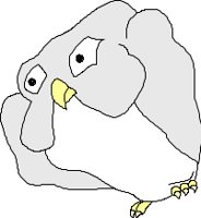 CBIRD005.CMX