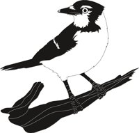 BLUEJAY3.CMX