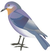 BLUEBRD2.CMX
