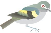BLCVIREO.CMX