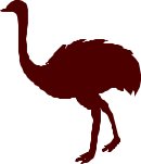 BIRDS018.CMX