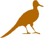 BIRDS017.CMX