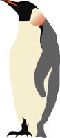 BIRD081.CMX