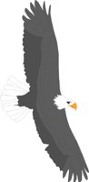 BIRD075.CMX