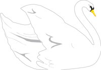 BIRD074.CMX