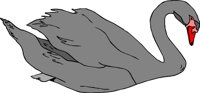 BIRD061.CMX