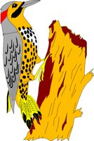 BIRD059.CMX