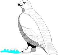 BIRD057.CMX