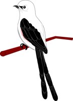BIRD054.CMX