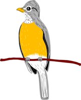 BIRD050.CMX