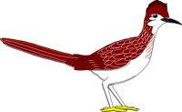 BIRD049.CMX