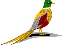 BIRD048.CMX