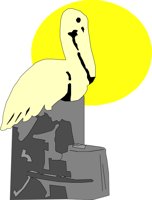 BIRD044.CMX