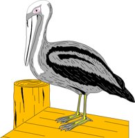 BIRD043.CMX