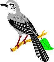 BIRD040.CMX