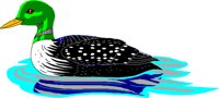 BIRD038.CMX