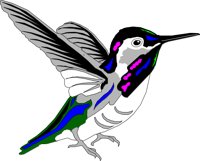 BIRD036.CMX