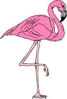 BIRD033.CMX