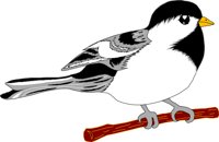 BIRD032.CMX