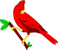 BIRD030.CMX