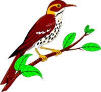 BIRD027.CMX