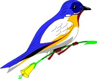 BIRD026.CMX
