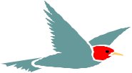 BIRD002.CMX