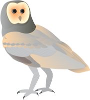 BARNOWL2.CMX