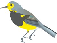 BACHWARB.CMX
