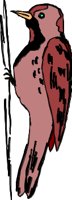 ANBD0037.CMX