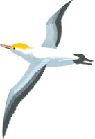 ALBATRST.CMX