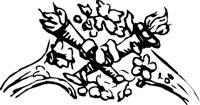 BRTP0358.CMX