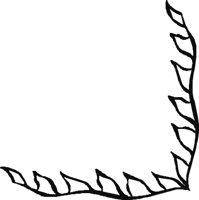 CRNRN253.CMX