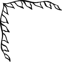 CRNRN251.CMX