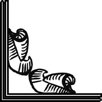 CRNRN138.CMX