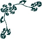 CRNRN001.CMX