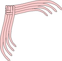 CRNRC492.CMX