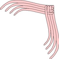 CRNRC490.CMX